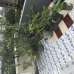 Sheikh villa, Apartment/Flats images 