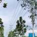 3 katha land sale at Keraniganj, Residential Plot images 