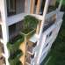 Feroza, Apartment/Flats images 