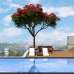 Anwar Landmark Whispering Green, Apartment/Flats images 