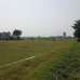 Modhu City, Residential Plot images 