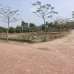 Modhu City -2, Residential Plot images 