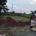 Eastern Housing, Dehara, Ashulia, Savar, Residential Plot images 