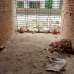 Richmond Shaheens Dream, Apartment/Flats images 