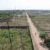 Plot besides Muhammadpur Basila Road- Modhu city, Residential Plot images 
