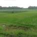 Ready Residential Plot For Sale at Patira, Khilkhet .(Near 300 Feet Purbachal) , Residential Plot images 