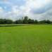 Arison Raton Nagar,, Residential Plot images 