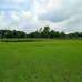 Arison Raton Nagar,, Residential Plot images 