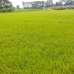 Modhu City, Residential Plot images 