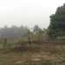 Urgent Land Sell @ Gazipur Union, Sheepur, Residential Plot images 