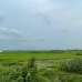 Octagon Neer, Residential Plot images 