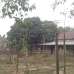 Urgent Land Sell @Niz Maona, Shreepur, Gazipur’, Agriculture/Farm Land images 