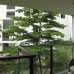 Rupanyan City Uttara, Sky Villa, , Duplex Home images 