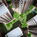 Tropical Haider Amorapuri, Apartment/Flats images 