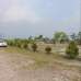 Purbachal North South Green City, Residential Plot images 