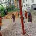 bddl Anantayshi, Apartment/Flats images 