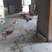 Di Ababil, Apartment/Flats images 