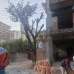 Mohazan Properties Ltd., Apartment/Flats images 