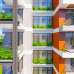 Road 4, Sector 10, Uttara, Apartment/Flats images 