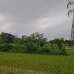 Touhid Ahmed, Residential Plot images 