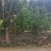 South Facing Ready Plot for URGENT Sale , Residential Plot images 
