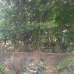 South Facing Ready Plot for URGENT Sale , Residential Plot images 
