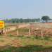 পাইন সিটি , Residential Plot images 
