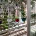 Moon Island by ANZ, Apartment/Flats images 