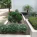 Oakvile Heights, Apartment/Flats images 