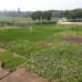 City, Residential Plot images 
