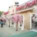Wonderland Amusement Park Restaurant, Showroom/Shop/Restaurant images 