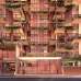 JBS CARNATION, Apartment/Flats images 