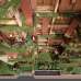 JBS CARNATION, Apartment/Flats images 