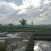 sadhin tradinf, Land Sharing Flat images 