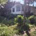 মনোরম পরিবেশে জমি সহ বাড়ি বিক্রয়।, Residential Plot images 