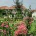 5 Beds Ready Duplex Sale at Purbachal 300Feet/180Feet, 3200 & 6210 Sft, , Duplex Home images 