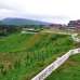 Jainta Hill Resort, Commercial Plot images 