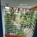 Nasrin Villa, Apartment/Flats images 