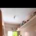 My Bd , Apartment/Flats images 