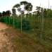 90.25 decimal land with a bungalow house for sale at a low price., Residential Plot images 