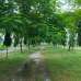 ARYAN CITY (RUNNER GROUP), Residential Plot images 