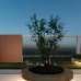 Besthome Abrar Garden, Apartment/Flats images 