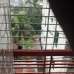বেলাশেষে, Apartment/Flats images 