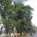 Genetic Park View, Apartment/Flats images 