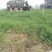 2.5 katha fresh land at manda, mugda, Residential Plot images 