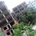 Monjil-Rose Garden, Apartment/Flats images 