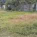 Rajuk Purbachal 5katha plot for sell in sector-23, Residential Plot images 