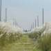 10 katha plot, Residential Plot images 