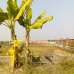 Rajuk Purbachal 3 katha plot for sell in sector-23, Residential Plot images 
