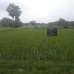 BIFC, Commercial Plot images 